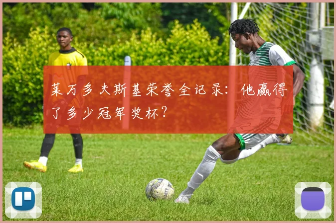 莱万多夫斯基荣誉全记录：他赢得了多少冠军奖杯？